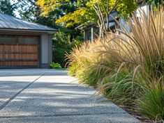 some very pretty plants in front of a big house with a garage door on the other side