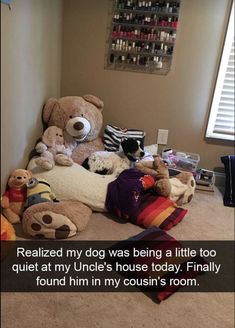 a pile of stuffed animals sitting on top of a carpeted floor next to a window