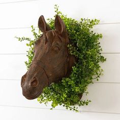 a horse head mounted to the side of a wall with green plants growing on it