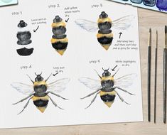 the stages of a bee's life cycle in watercolor and ink on paper