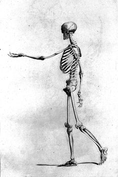 a drawing of a skeleton holding something in one hand and pointing it at the other