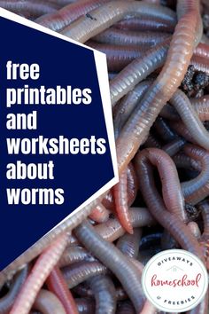 worms with text overlay that reads free printables and worksheets about worms