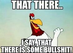 an image of a cartoon chicken saying that there is no one in the world to say