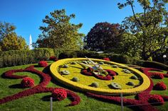 a large clock made out of flowers in the middle of a park with trees and bushes