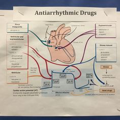 a diagram of the human heart and its major functions, labeled in red on a piece of paper