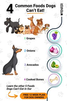 the four types of dogs are shown in this info sheet