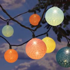 colorful lights hanging from a tree in the evening