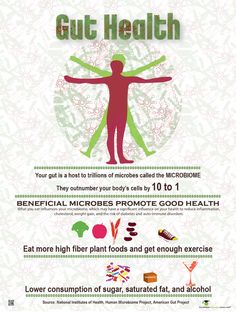 featured Nutrition Poster, Benefits Of Mindfulness, Probiotic Benefits, Health Fair, Health Poster, Fiber Diet, Infographic Poster, Medicine Book, High Fiber Diet