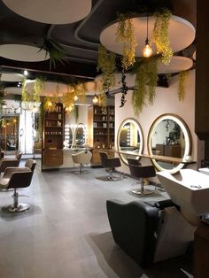 a salon with chairs, mirrors and plants hanging from the ceiling