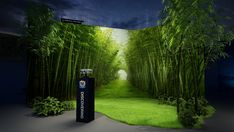 an image of a bamboo tree tunnel