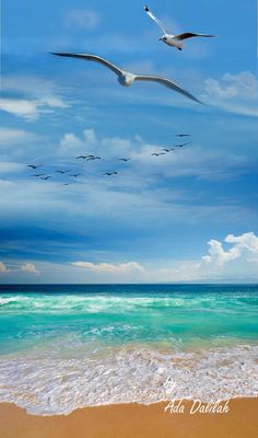 a painting of birds flying over the ocean