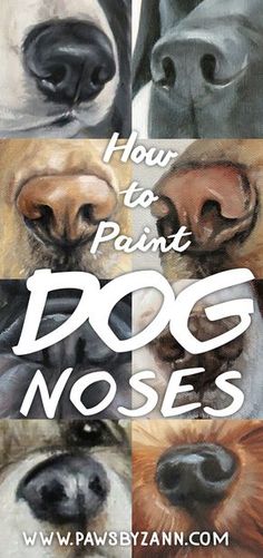 how to paint dogs nosees