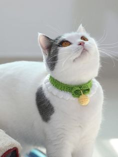 a gray and white cat with a green collar looking up at something in the air