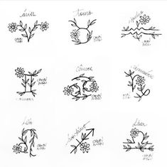 the different types of flowers are drawn in ink on paper, and each one has an arrow