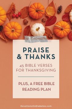 the front cover of a book with pumpkins and leaves on it, which reads praise & thanks