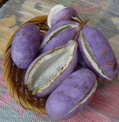 a basket filled with purple fruit sitting on top of a table next to a rug