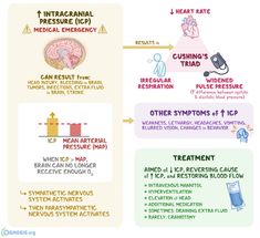 an info sheet with instructions on how to use the brain and heart as well as other medical