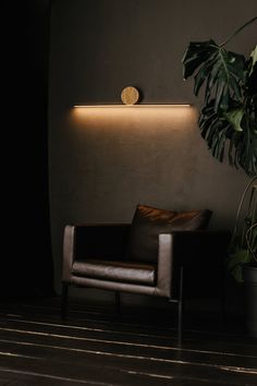 a chair sitting next to a potted plant on top of a wooden floor