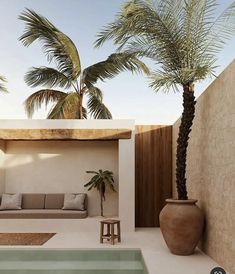 an outdoor living area with a couch and palm trees