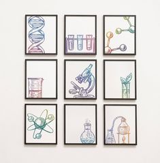 six framed drawings of science related items on a white wall with black border around them