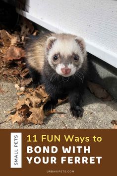 a ferret standing on top of leaves next to a door with the words 11 fun ways to bond with your ferret