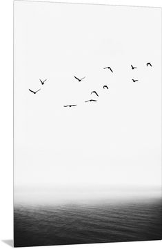 black and white photograph of birds flying over the ocean on a foggy day,