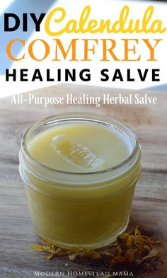 DIY Calendula Comfrey Salve - All Purpose Healing Herbal Salve Comfrey Salve, Healing Salve Recipe, Homemade Lotions, Calendula Salve, Healing Salve, Garden Therapy, Herbal Salves, Healing Salves