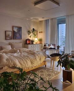 a bed sitting in the middle of a living room next to a potted plant