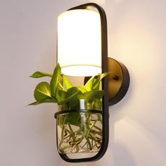 a plant is growing in a glass jar on the side of a wall mounted light