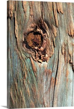 an old tree trunk with peeling paint on it's bark and a hole in the wood