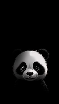 a black and white panda bear in the dark