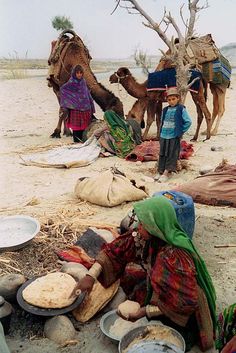 a group of people sitting on top of a sandy beach next to camel's