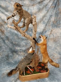 three different types of animals standing on top of a tree branch in front of a blue backdrop