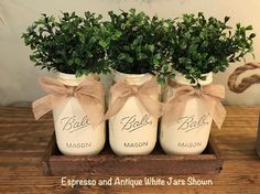 three white mason jars with green plants in them on a wooden tray, tied with twine