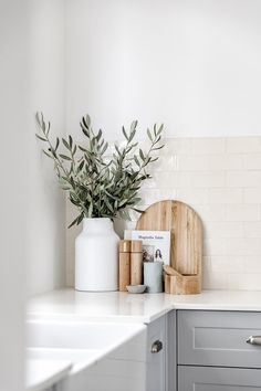 a kitchen counter with a cutting board, knife and potted plant