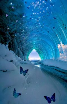 some blue butterflies are flying in the air over snow covered ground and ice caves with lights on them