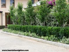 a house with lots of trees in front of it and bushes on the side of the road