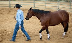 a man leading a horse in an arena