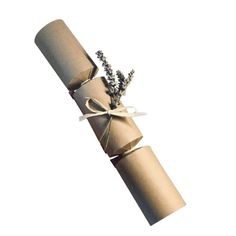 a roll of toilet paper wrapped in twine and tied with a bow, on a white background