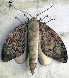 a moth is sitting on top of a piece of fabric and has intricately designed wings