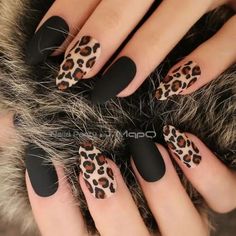 Matt Nails, May Nails, Matte Nails Design, Thanksgiving Nails, Animal Print Nails, Christmas Nails Acrylic