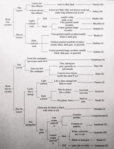 the family tree is shown in black and white