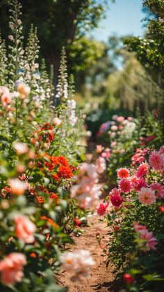 many different colored flowers growing in a garden with dirt path leading through the center and trees on both sides