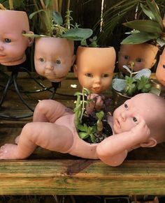 a group of baby dolls sitting next to each other with plants growing out of them