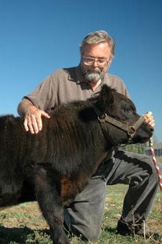 a man kneeling down next to a black cow on top of a grass covered field