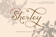 an image of the word sheley written in cursive type