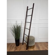 a ladder leaning up against a wall next to a potted plant on the floor