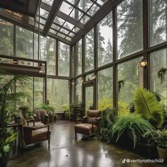 a room filled with lots of green plants and tall windows next to a wooden floor