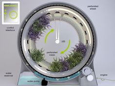 an image of a clock with plants growing on it