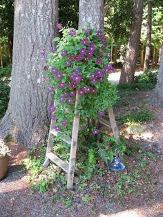 a ladder is covered with purple flowers in the woods